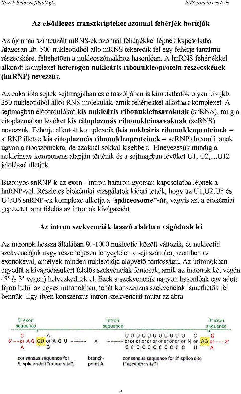 A hnrns fehérjékkel alkotott komplexét heterogén nukleáris ribonukleoprotein részecskének (hnrnp) nevezzük. Az eukarióta sejtek sejtmagjában és citoszóljában is kimutathatók olyan kis (kb.