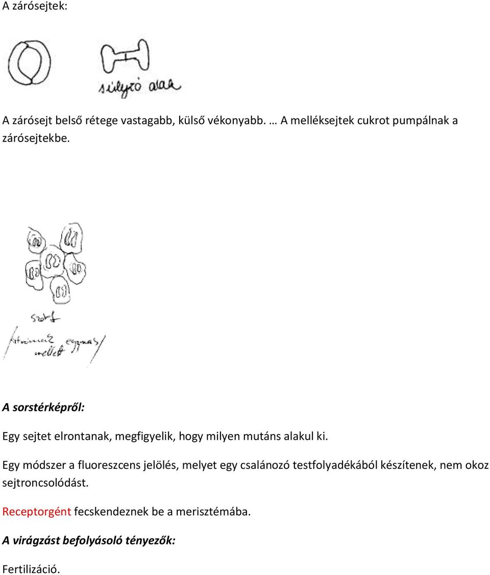 A sorstérképről: Egy sejtet elrontanak, megfigyelik, hogy milyen mutáns alakul ki.