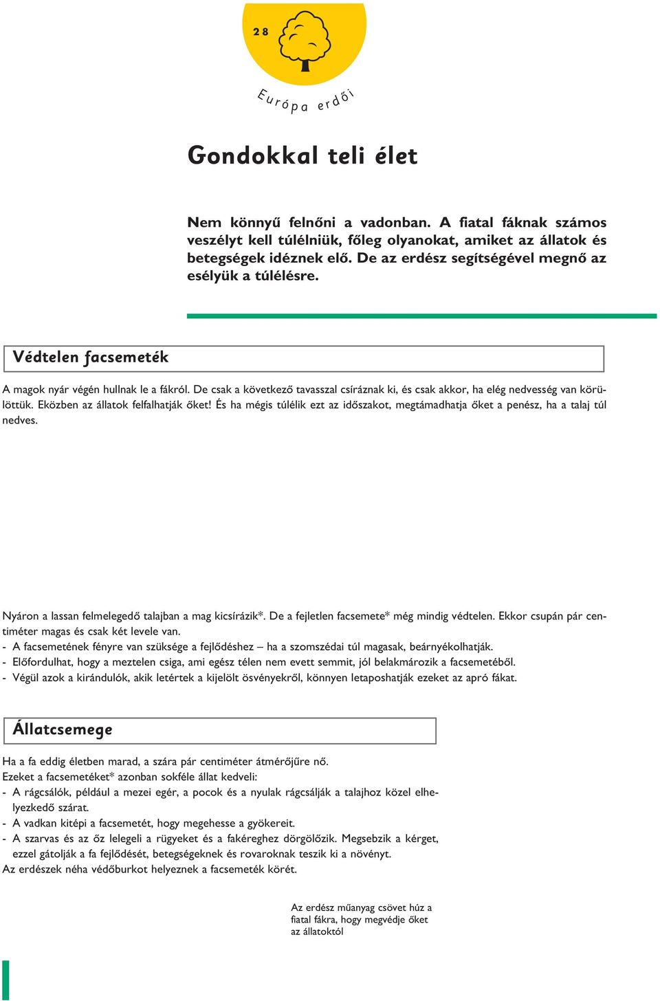 De csak a következô tavasszal csíráznak k, és csak akkor, ha elég nedvesség van körülöttük. Eközben az állatok felfalhatják ôket!