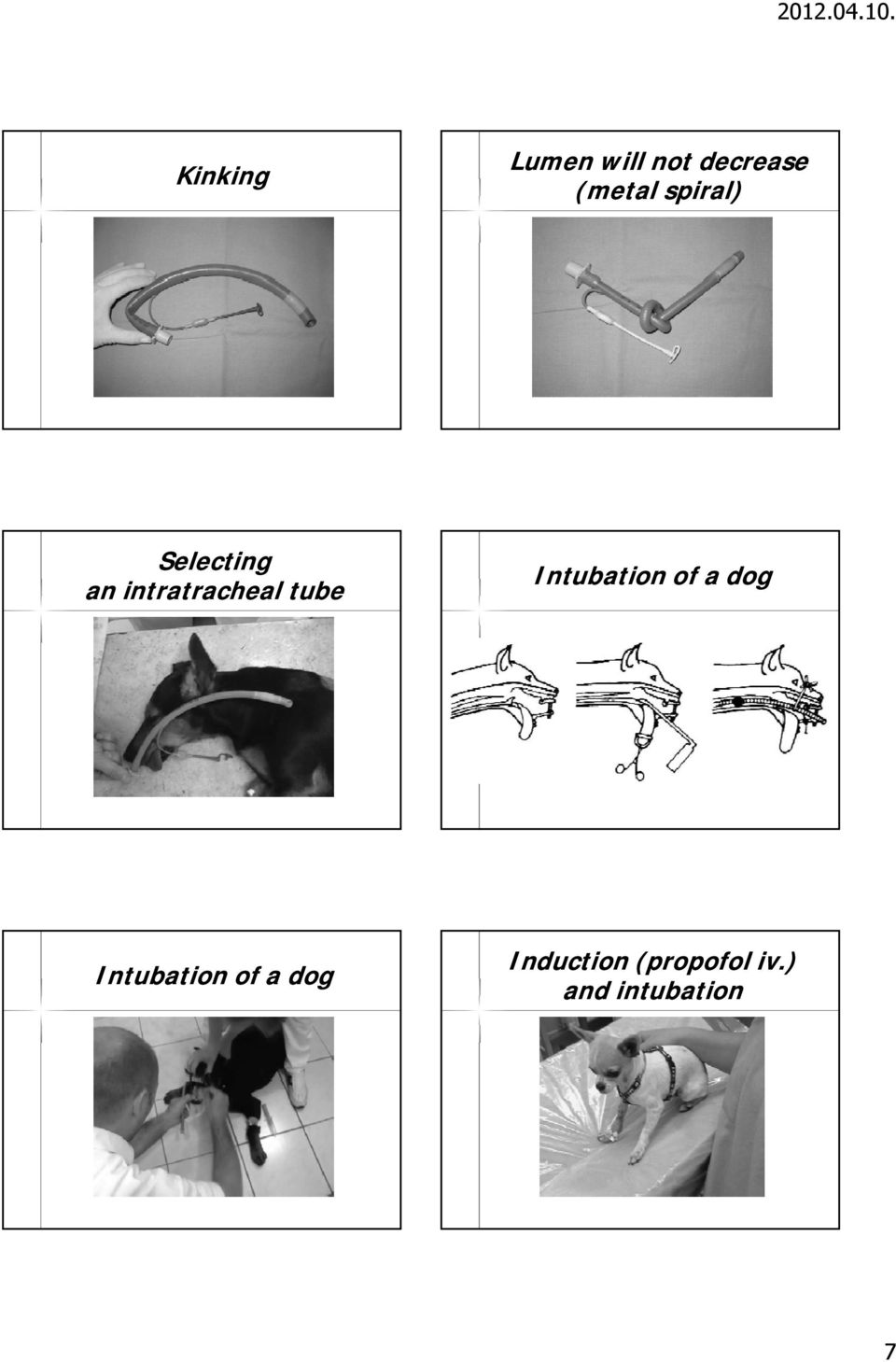 spiral spiral)) Selecting an intratracheal