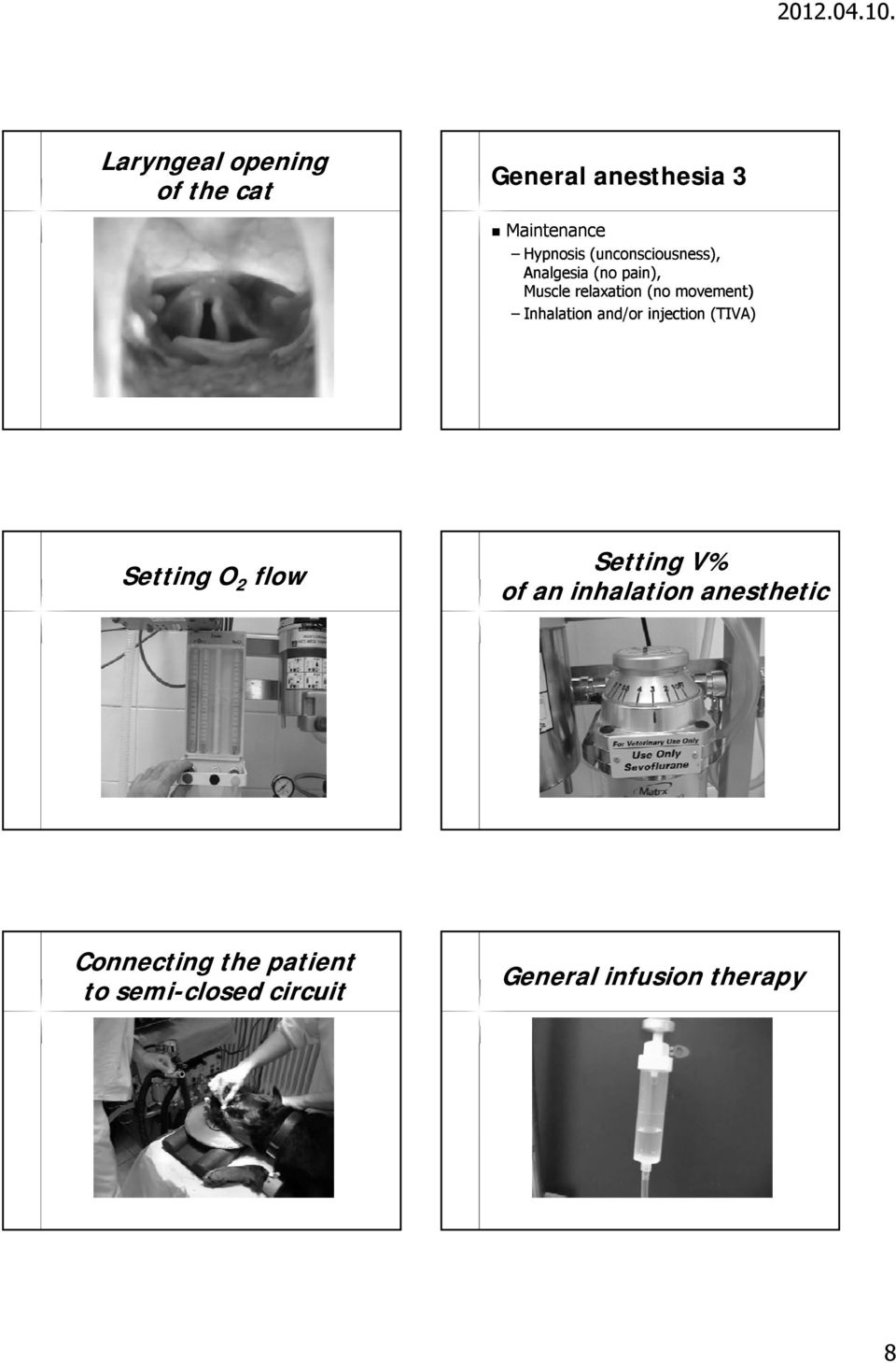 nconsciousness)), Analgesia g ((no p pain), pain ), Muscle relaxation (no movement) movement)