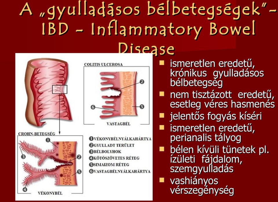 véres hasmenés jelentős fogyás kíséri ismeretlen eredetű, perianalis tályog