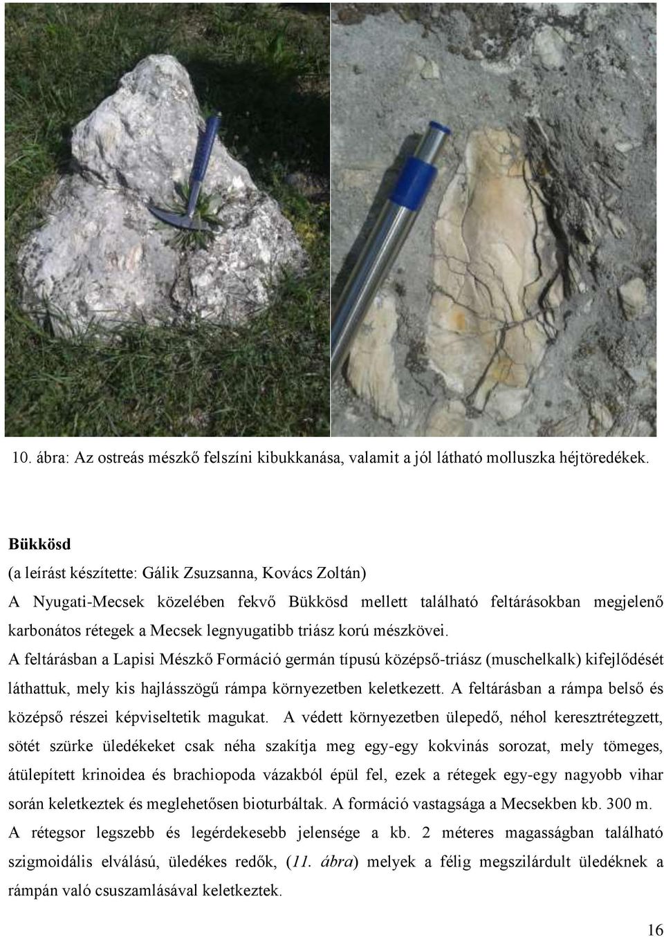 mészkövei. A feltárásban a Lapisi Mészkő Formáció germán típusú középső-triász (muschelkalk) kifejlődését láthattuk, mely kis hajlásszögű rámpa környezetben keletkezett.