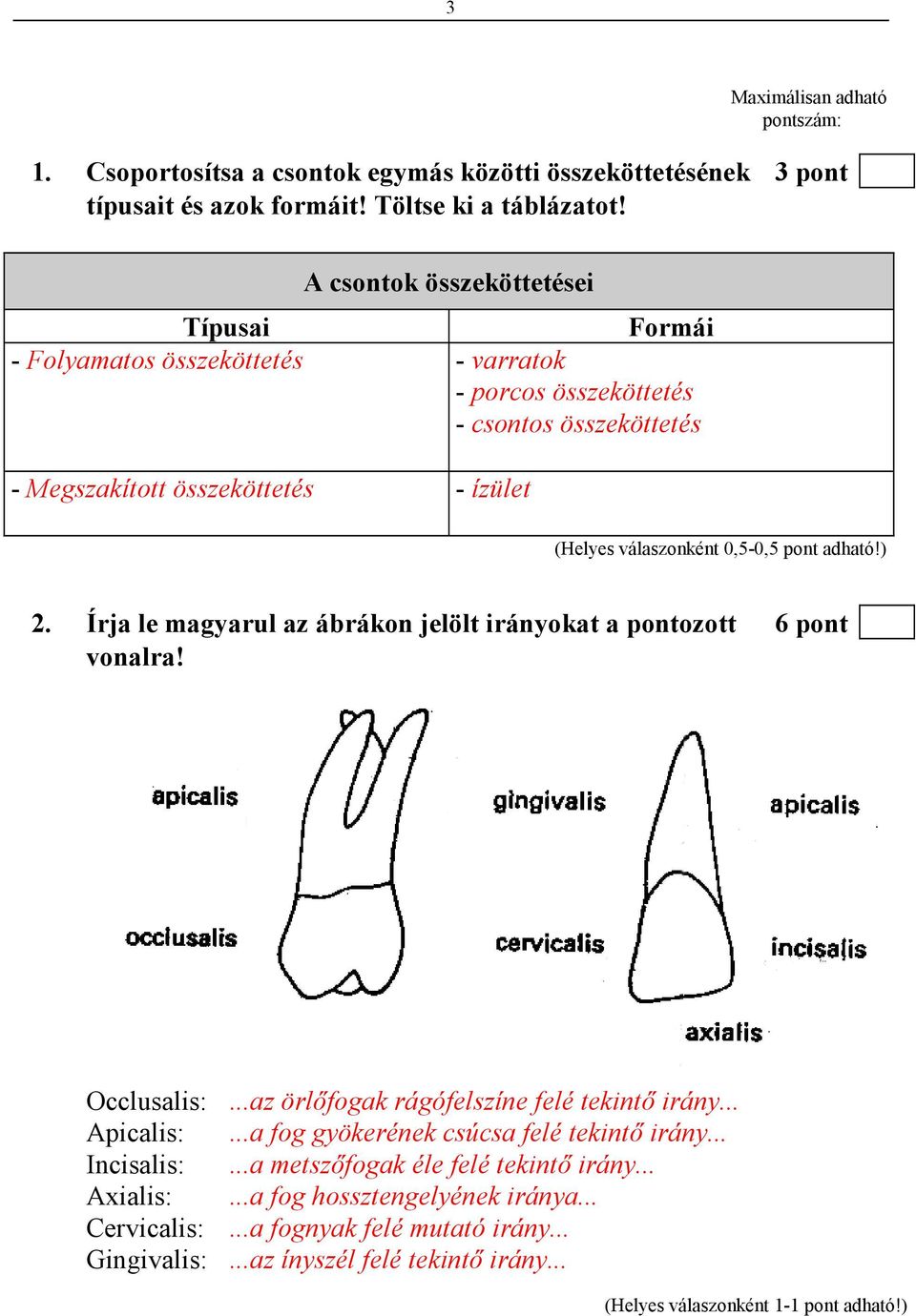 Írja le magyarul az ábrákon jelölt irányokat a pontozott 6 pont vonalra! Occlusalis:...az örlıfogak rágófelszíne felé tekintı irány... Apicalis:.