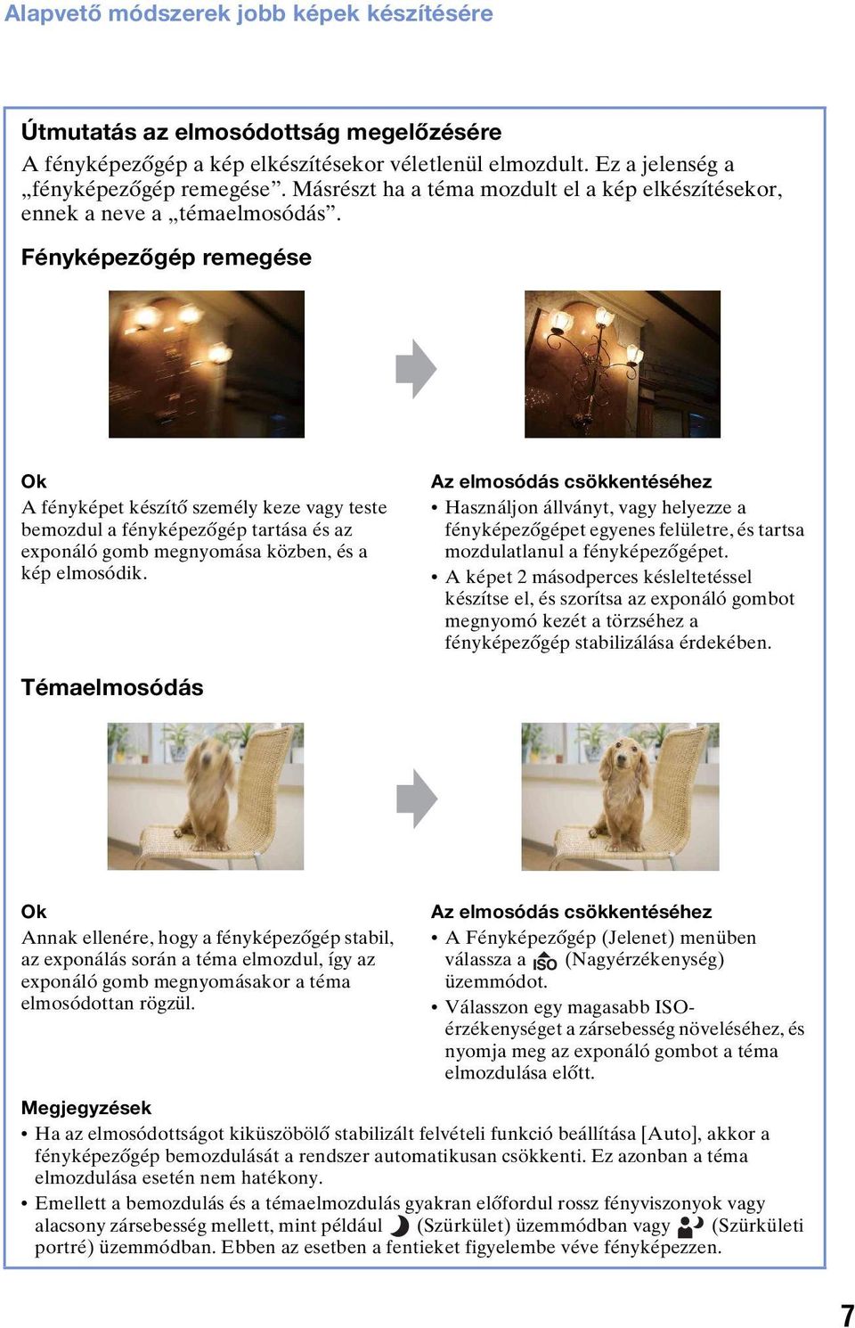 Fényképezőgép remegése Ok A fényképet készítő személy keze vagy teste bemozdul a fényképezőgép tartása és az exponáló gomb megnyomása közben, és a kép elmosódik.