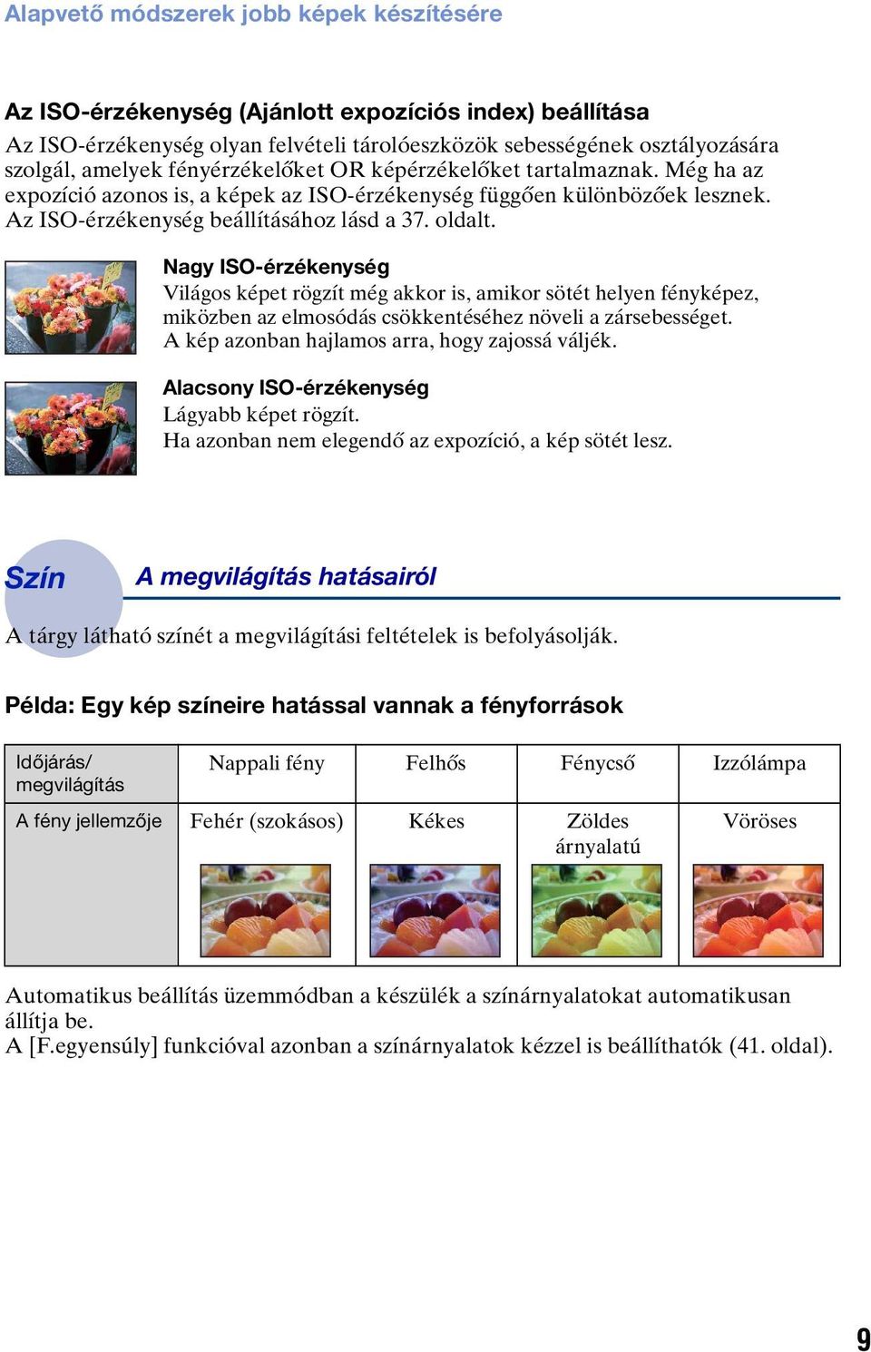 Nagy ISO-érzékenység Világos képet rögzít még akkor is, amikor sötét helyen fényképez, miközben az elmosódás csökkentéséhez növeli a zársebességet. A kép azonban hajlamos arra, hogy zajossá váljék.