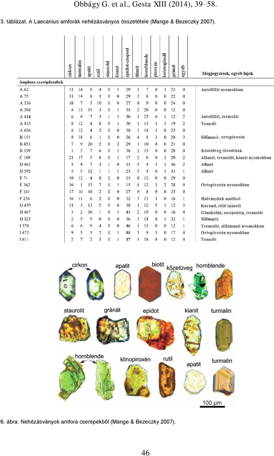 összetétele (Mange & Bezeczky 2007). 6.