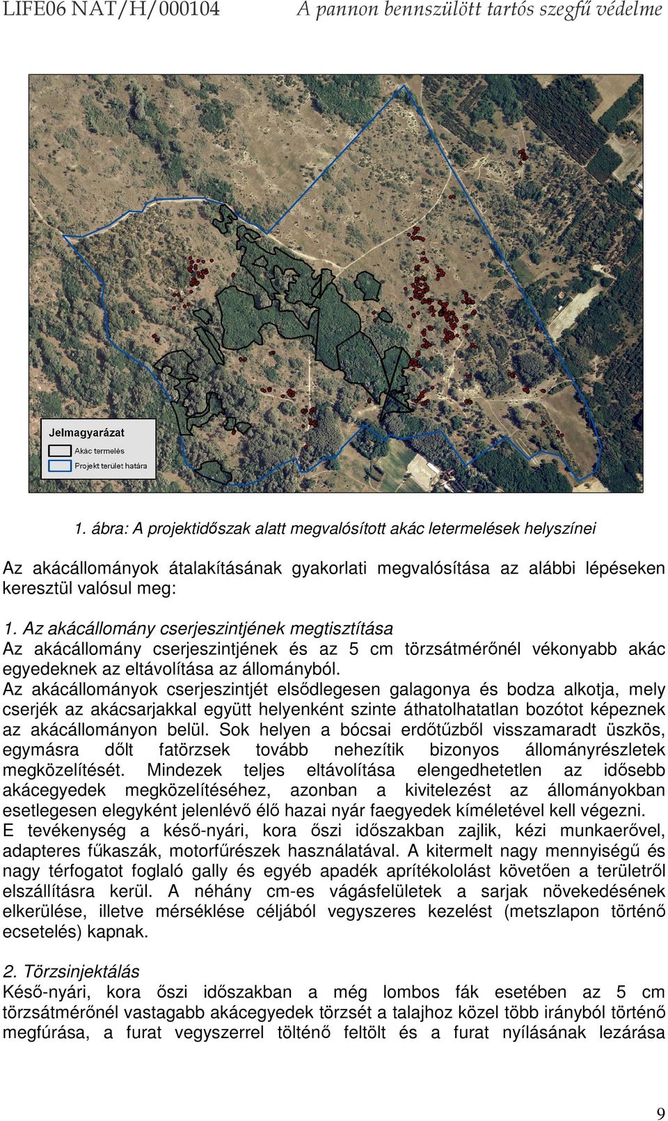 Az akácállományok cserjeszintjét elsődlegesen galagonya és bodza alkotja, mely cserjék az akácsarjakkal együtt helyenként szinte áthatolhatatlan bozótot képeznek az akácállományon belül.