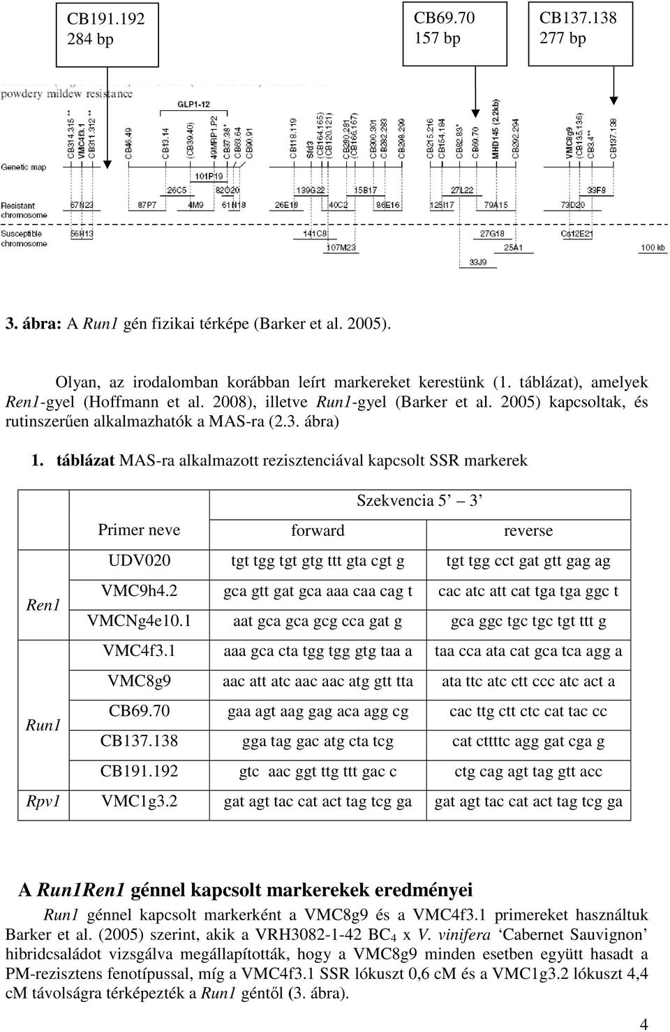 táblázat MAS-ra alkalmazott rezisztenciával kapcsolt SSR markerek Ren1 Run1 Szekvencia 5 3 Primer neve forward reverse UDV020 tgt tgg tgt gtg ttt gta cgt g tgt tgg cct gat gtt gag ag VMC9h4.