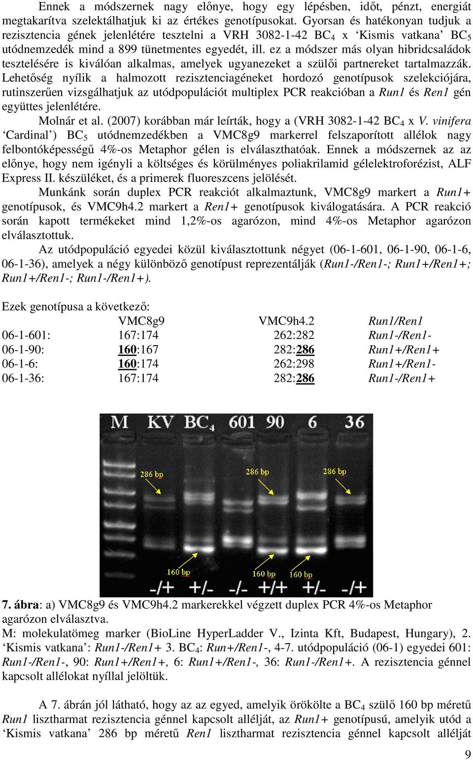 ez a módszer más olyan hibridcsaládok tesztelésére is kiválóan alkalmas, amelyek ugyanezeket a szülői partnereket tartalmazzák.