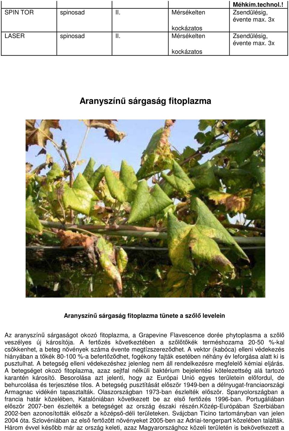 károsítója. A fertőzés következtében a szőlőtőkék terméshozama 20-50 %-kal csökkenhet, a beteg növények száma évente megtízszereződhet.