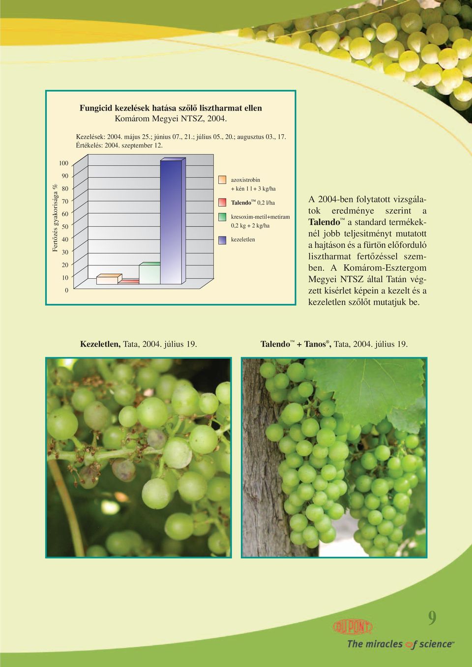Fertôzés gyakorisága % 100 90 80 70 60 50 40 30 20 10 0 azoxistrobin + kén 1 l + 3 kg/ha 0,2 l/ha kresoxim-metil+metiram 0,2 kg + 2 kg/ha kezeletlen A 2004-ben folytatott