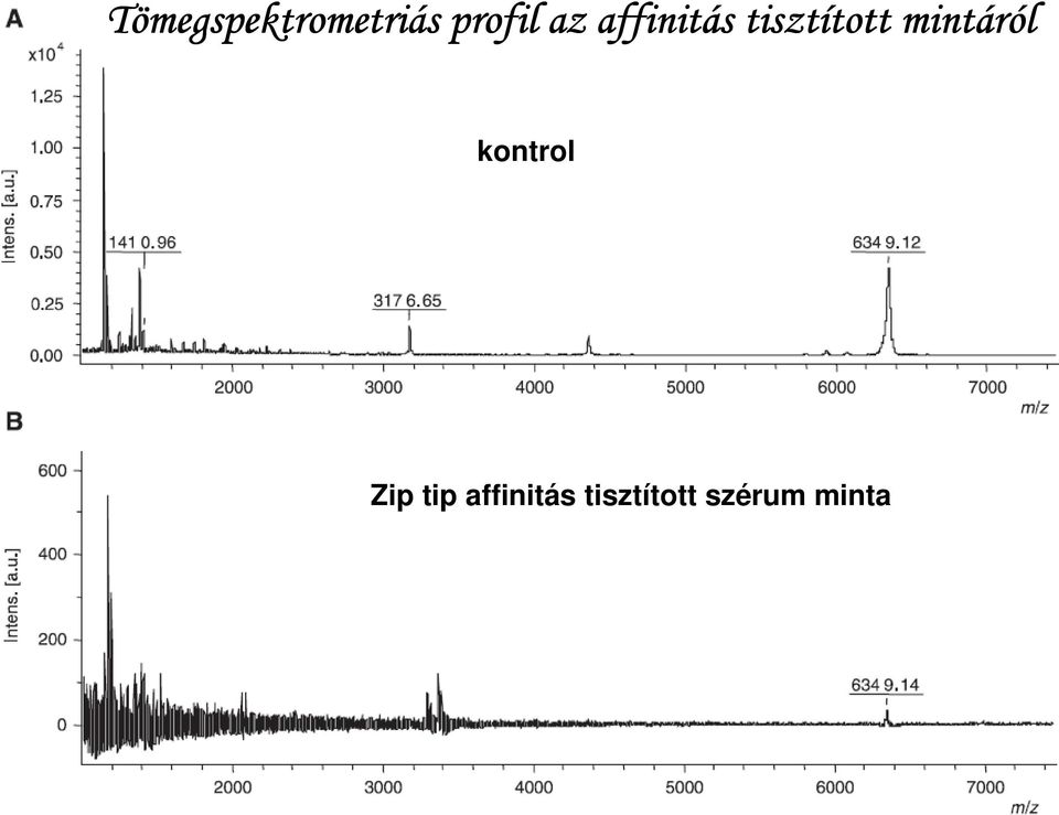 affinitás tisztított tott