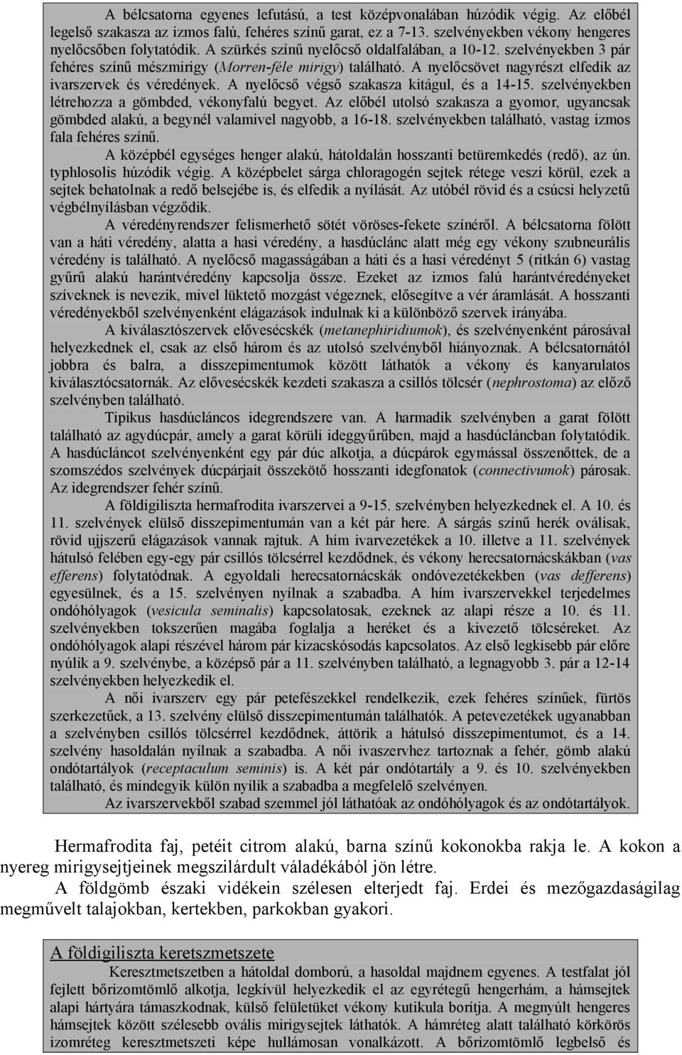 A nyelőcső végső szakasza kitágul, és a 14-15. szelvényekben létrehozza a gömbded, vékonyfalú begyet. Az előbél utolsó szakasza a gyomor, ugyancsak gömbded alakú, a begynél valamivel nagyobb, a 16-18.