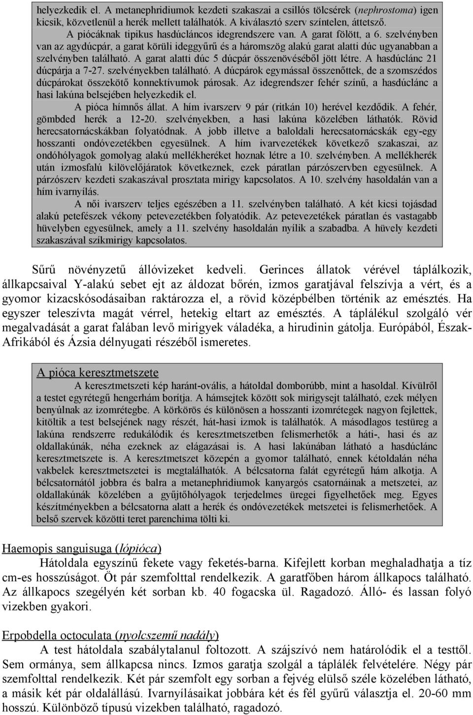 szelvényben van az agydúcpár, a garat körüli ideggyűrű és a háromszög alakú garat alatti dúc ugyanabban a szelvényben található. A garat alatti dúc 5 dúcpár összenövéséből jött létre.