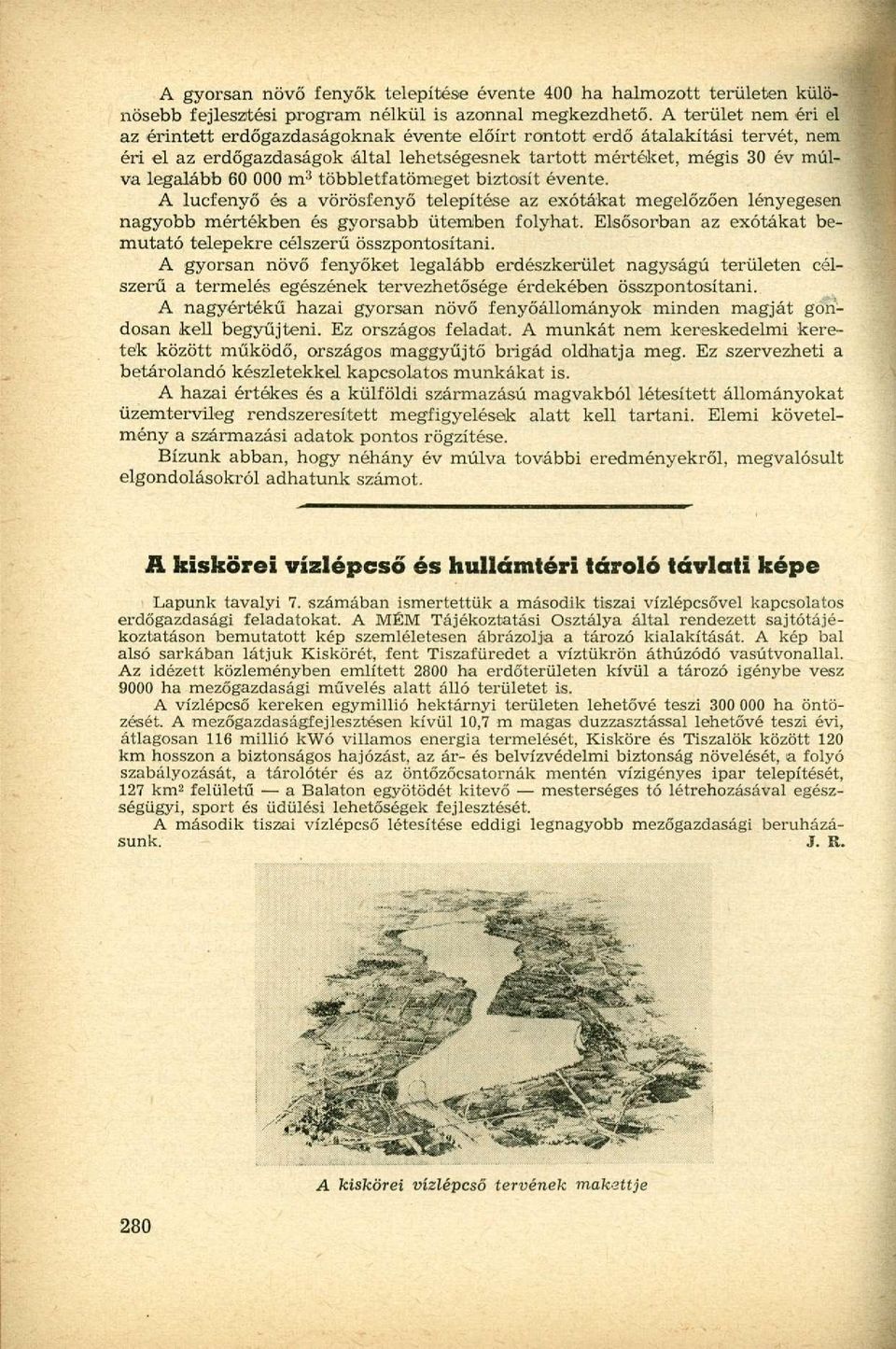 m :i többletfatömeget biztosít évente. A lucfenyő és a vörösfenyő telepítése az exótákat megelőzően lényegesen nagyobb mértékben és gyorsabb ütemben folyhat.