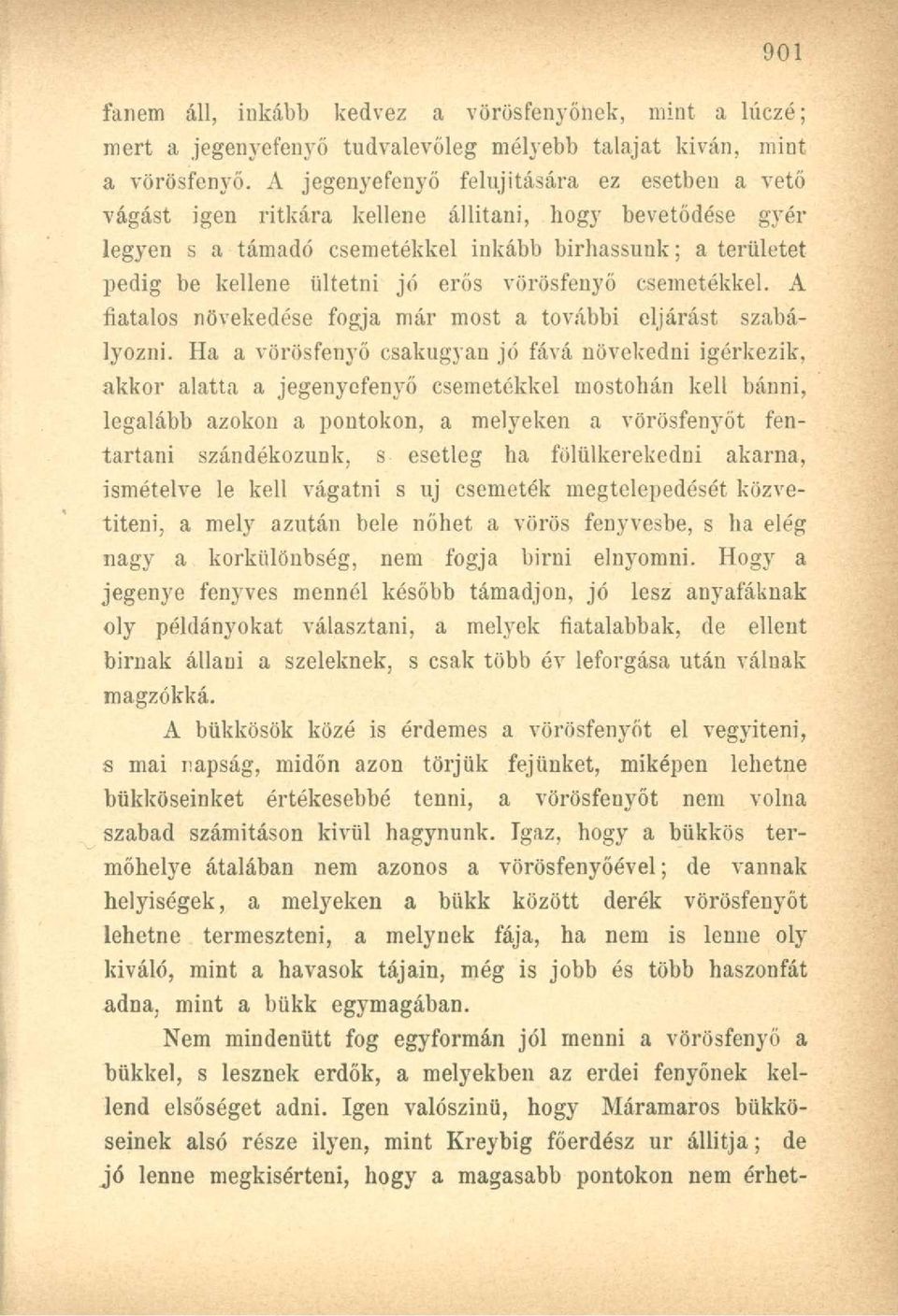 vörösfenyő csemetékkel. A fiatalos növekedése fogja már most a további eljárást szabályozni.