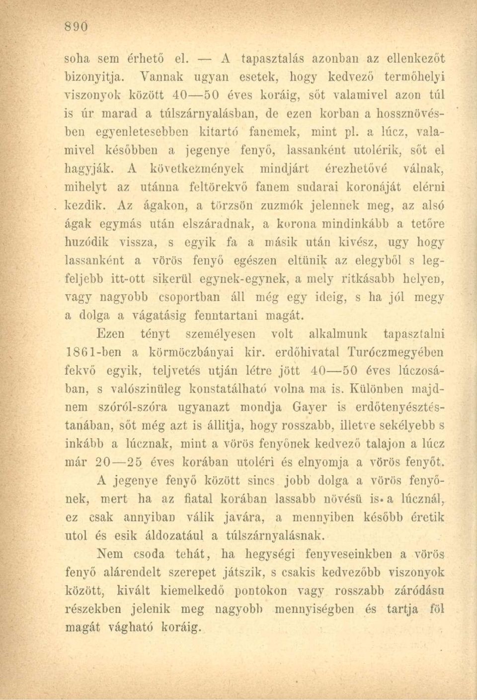 mint pl. a lúcz, valamivel későbben a jegenye fenyő, lassanként utolérik, sőt el hagyják.