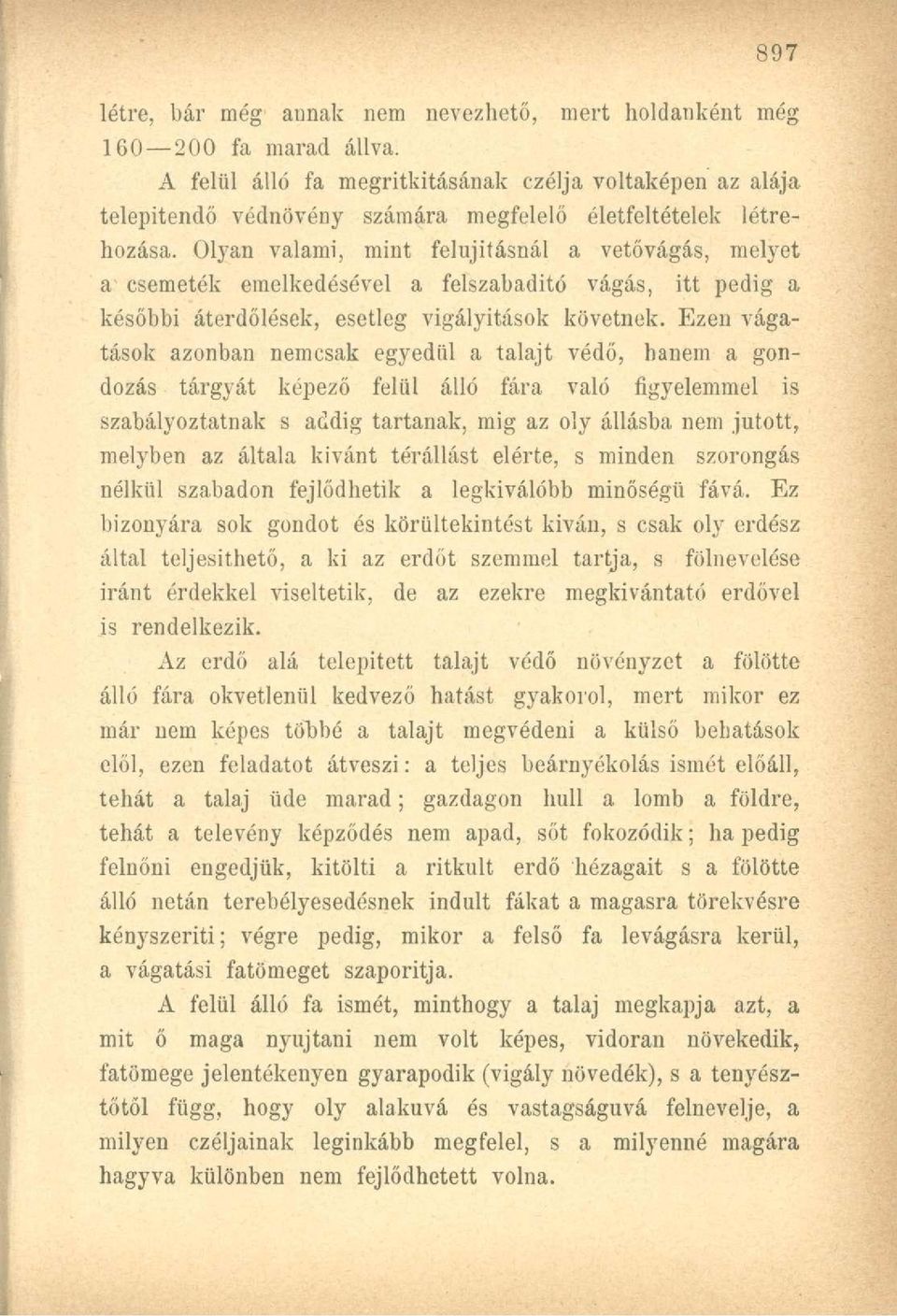 Olyan valami, mint felújításnál a vetővágás, melyet a csemeték emelkedésével a felszabadító vágás, itt pedig a későbbi áterdőlések, esetleg vigályitások követnek.