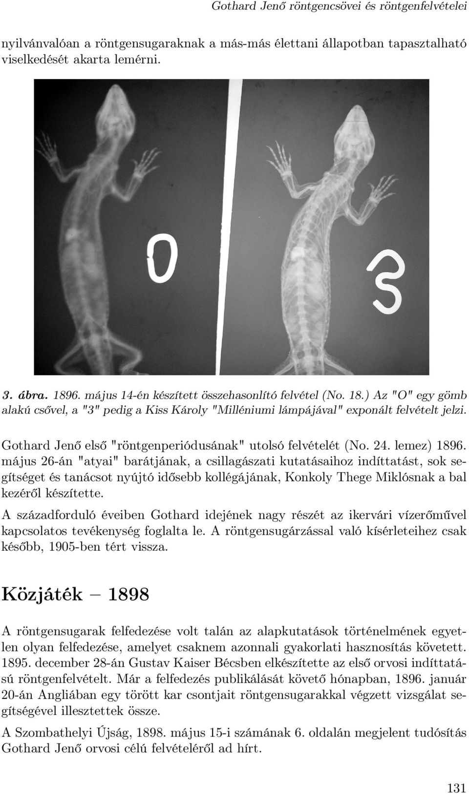 Gothard Jenő első "röntgenperiódusának" utolsó felvételét (No. 24. lemez) 1896.