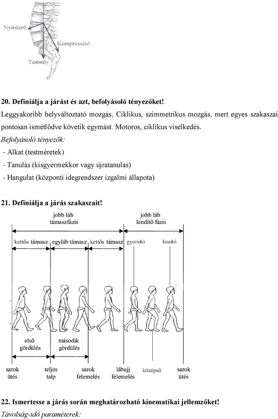 Befolyásoló tényezők: - Alkat (testméretek) - Tanulás (kisgyermekkor vagy újratanulás) - Hangulat (központi