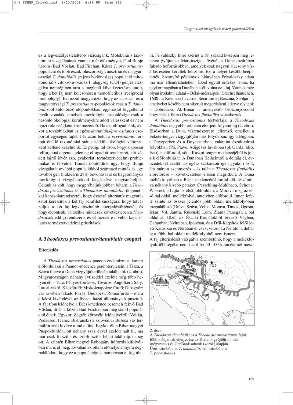 danubialis (rajzos bödöncsiga) populáció mitokondriális citokróm-oxidáz I.