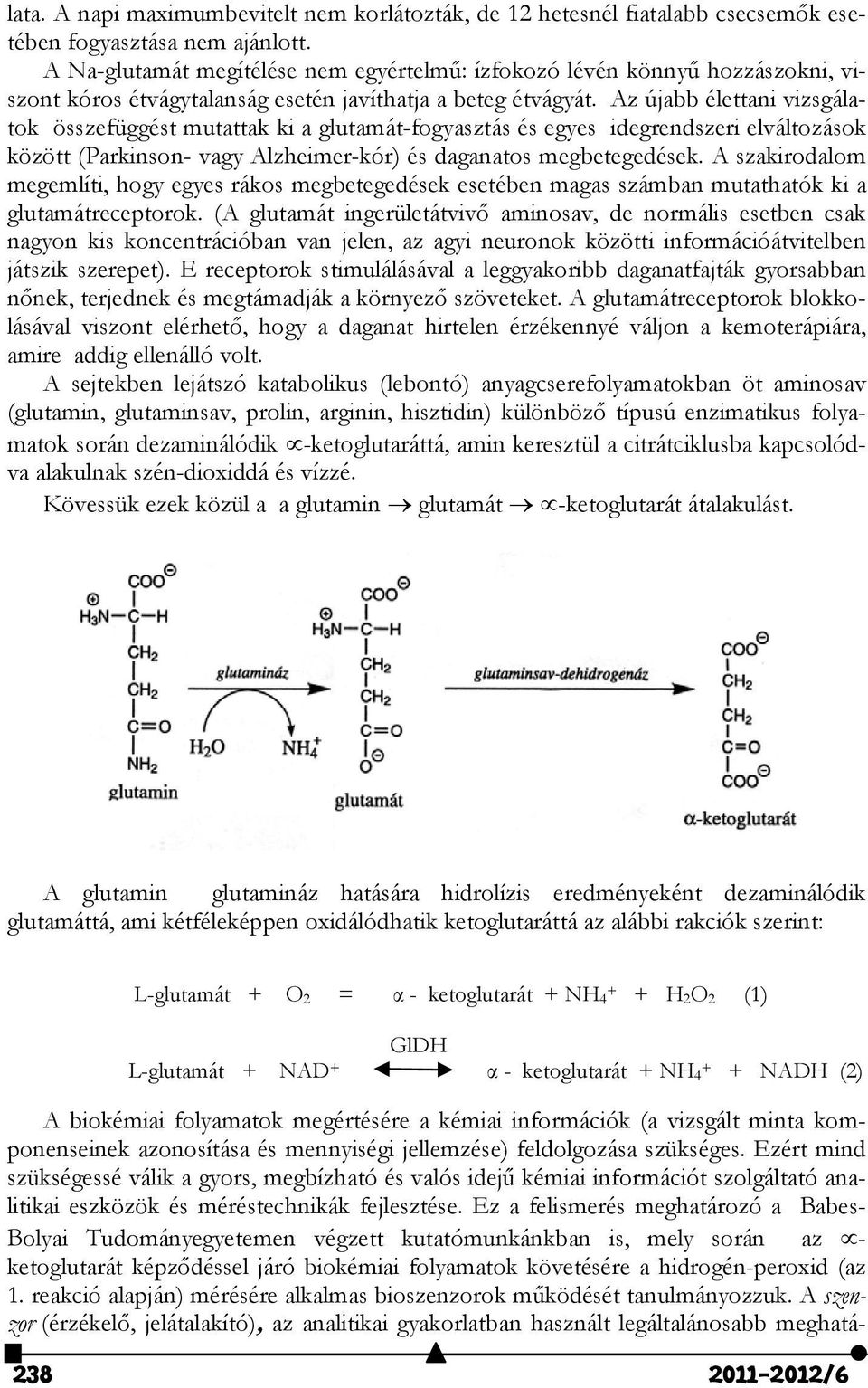 Az újabb élettani vizsgálatok összefüggést mutattak ki a glutamát-fogyasztás és egyes idegrendszeri elváltozások között (Parkinson- vagy Alzheimer-kór) és daganatos megbetegedések.