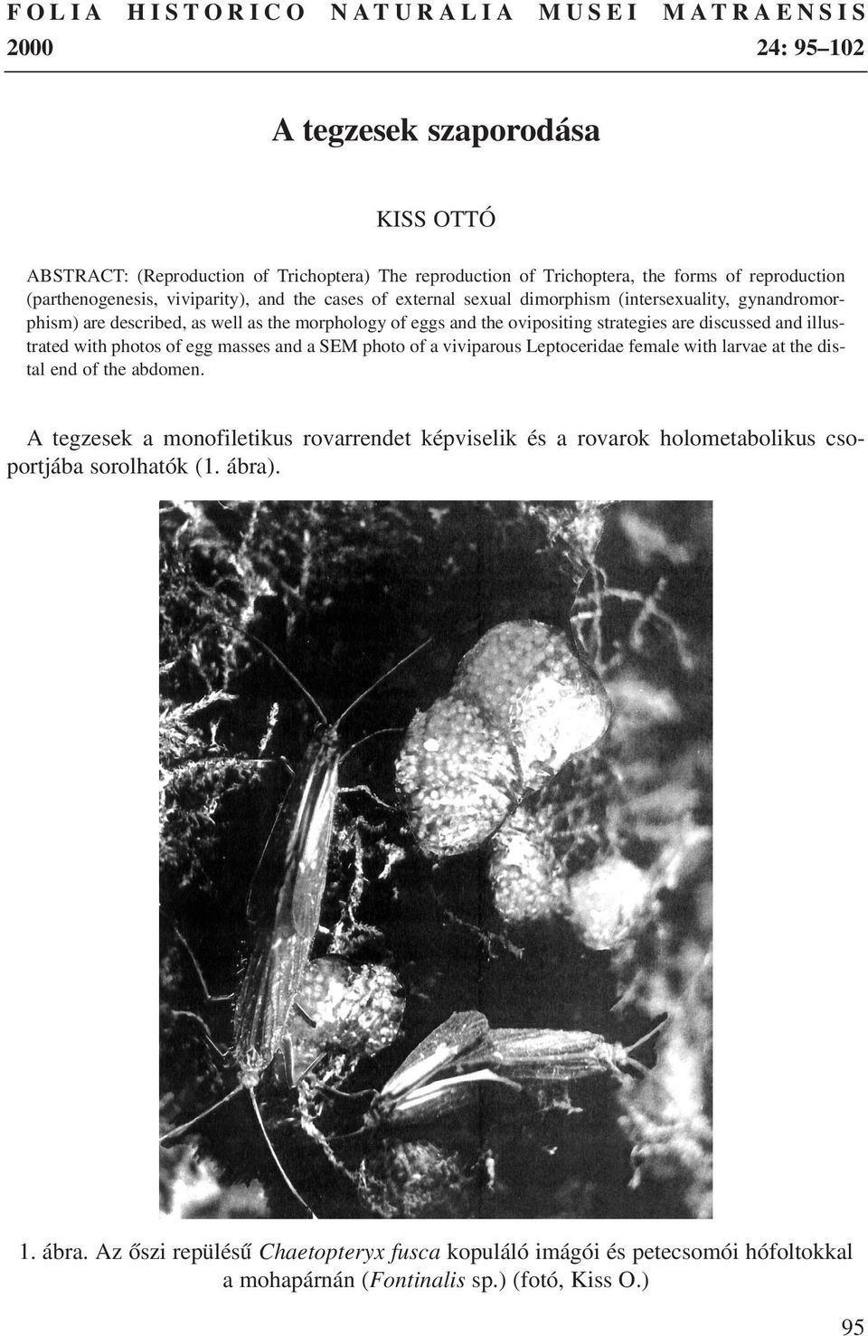 discussed and illustrated with photos of egg masses and a SEM photo of a viviparous Leptoceridae female with larvae at the distal end of the abdomen.