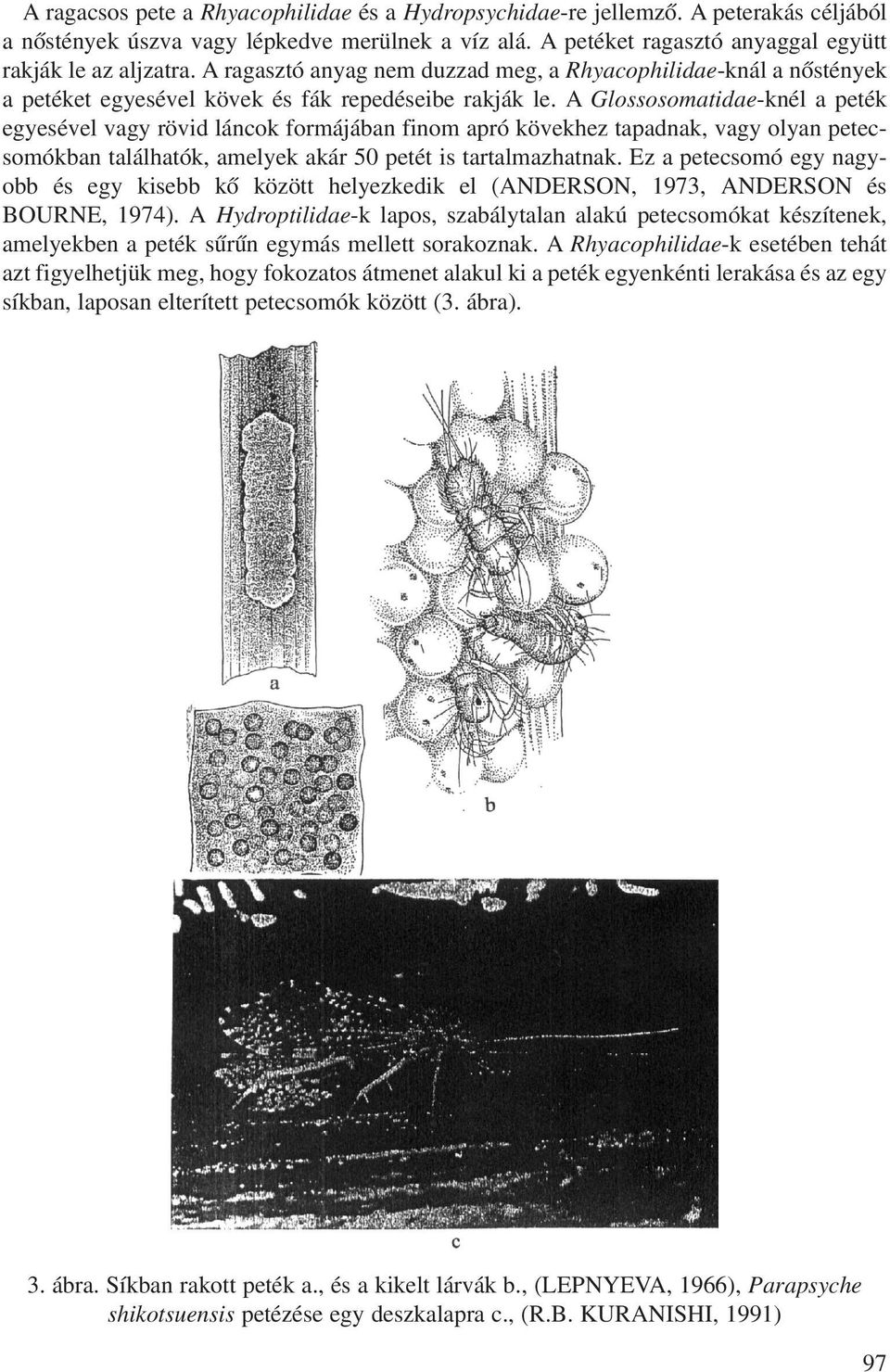 A Glossosomatidae-knél a peték egyesével vagy rövid láncok formájában finom apró kövekhez tapadnak, vagy olyan petecsomókban találhatók, amelyek akár 50 petét is tartalmazhatnak.