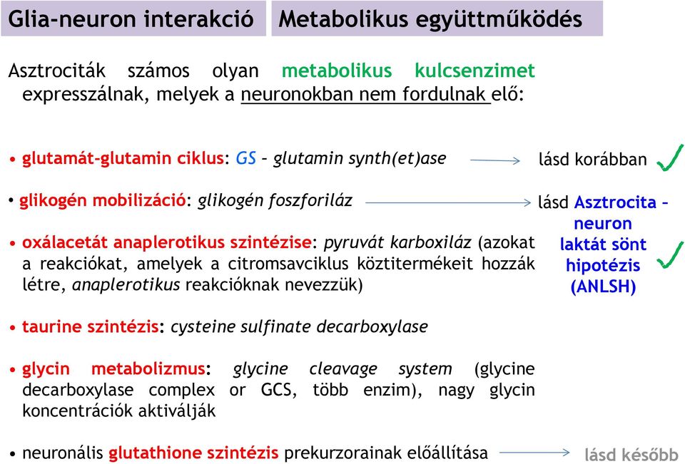 köztitermékeit hozzák létre, anaplerotikus reakcióknak nevezzük) taurine szintézis: cysteine sulfinate decarboxylase glycin metabolizmus: glycine cleavage system (glycine decarboxylase