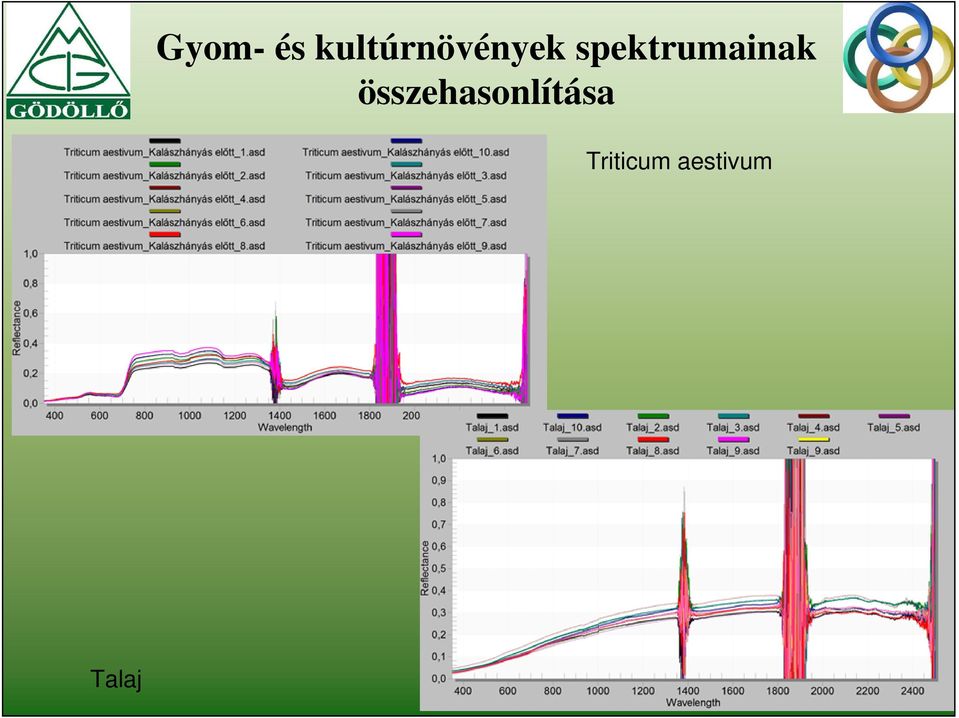 spektrumainak