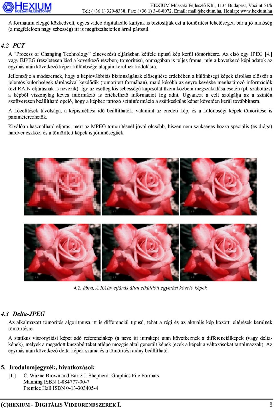 ] vagy EJPEG (részletesen lásd a következő részben) tömörítésű, önmagában is teljes frame, míg a következő képi adatok az egymás után következő képek különbsége alapján kerülnek kódolásra.