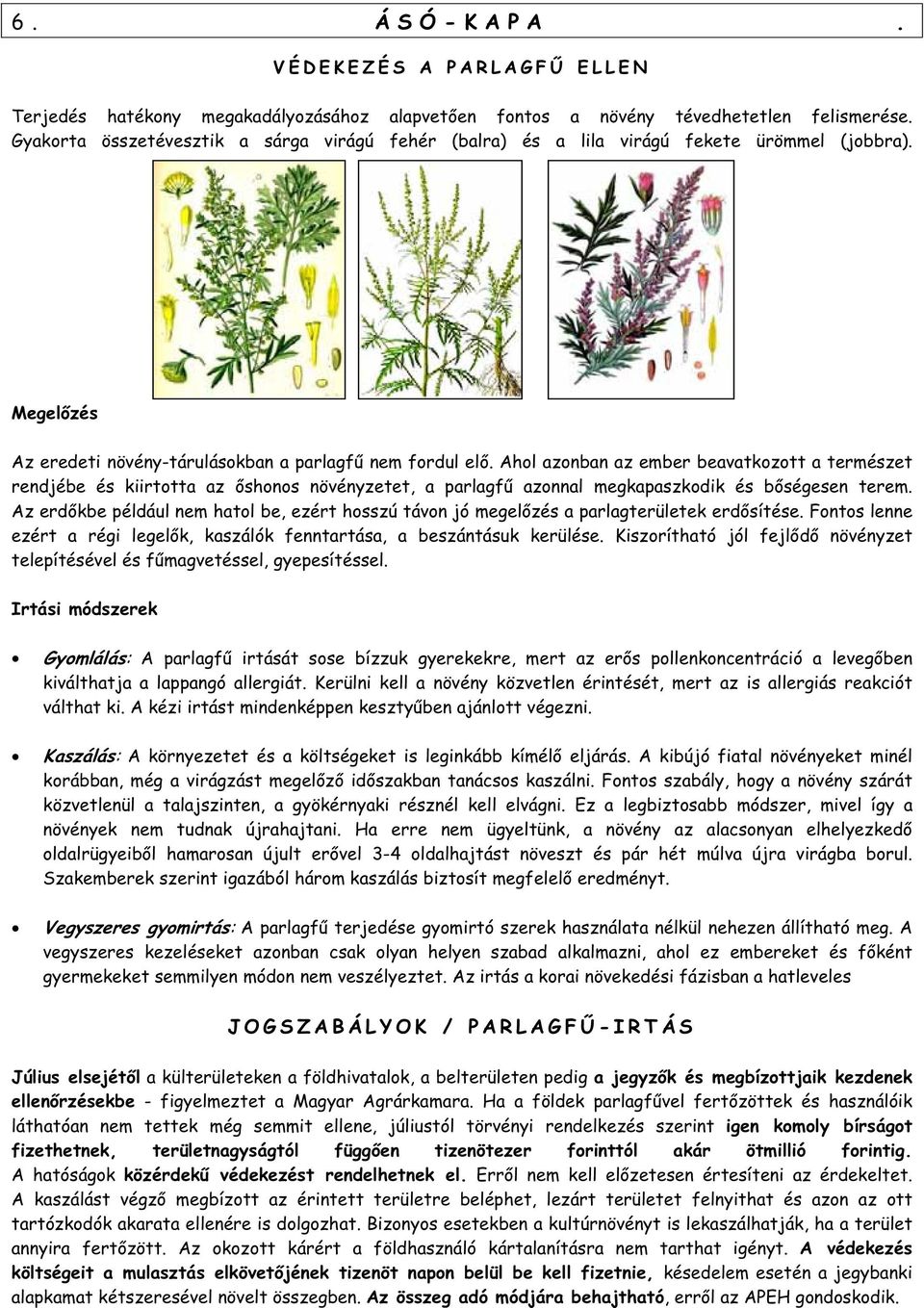 Ahol azonban az ember beavatkozott a természet rendjébe és kiirtotta az shonos növényzetet, a parlagf azonnal megkapaszkodik és b ségesen terem.