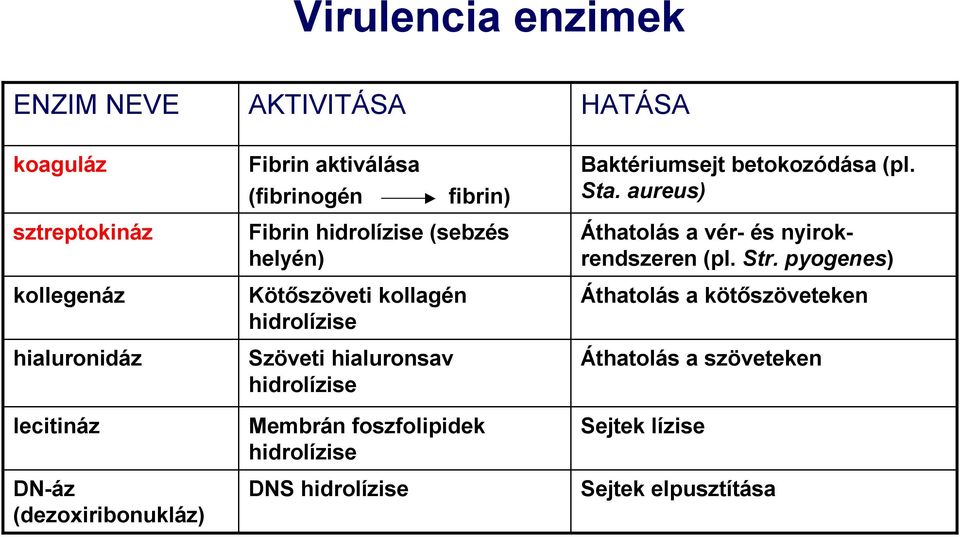 Kötőszöveti kollagén hidrolízise Szöveti hialuronsav hidrolízise Membrán foszfolipidek hidrolízise DNS hidrolízise Áthatolás