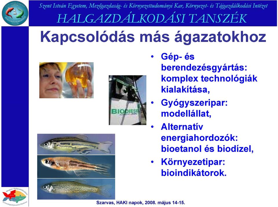 kialakítása, Gyógyszeripar: modellállat,