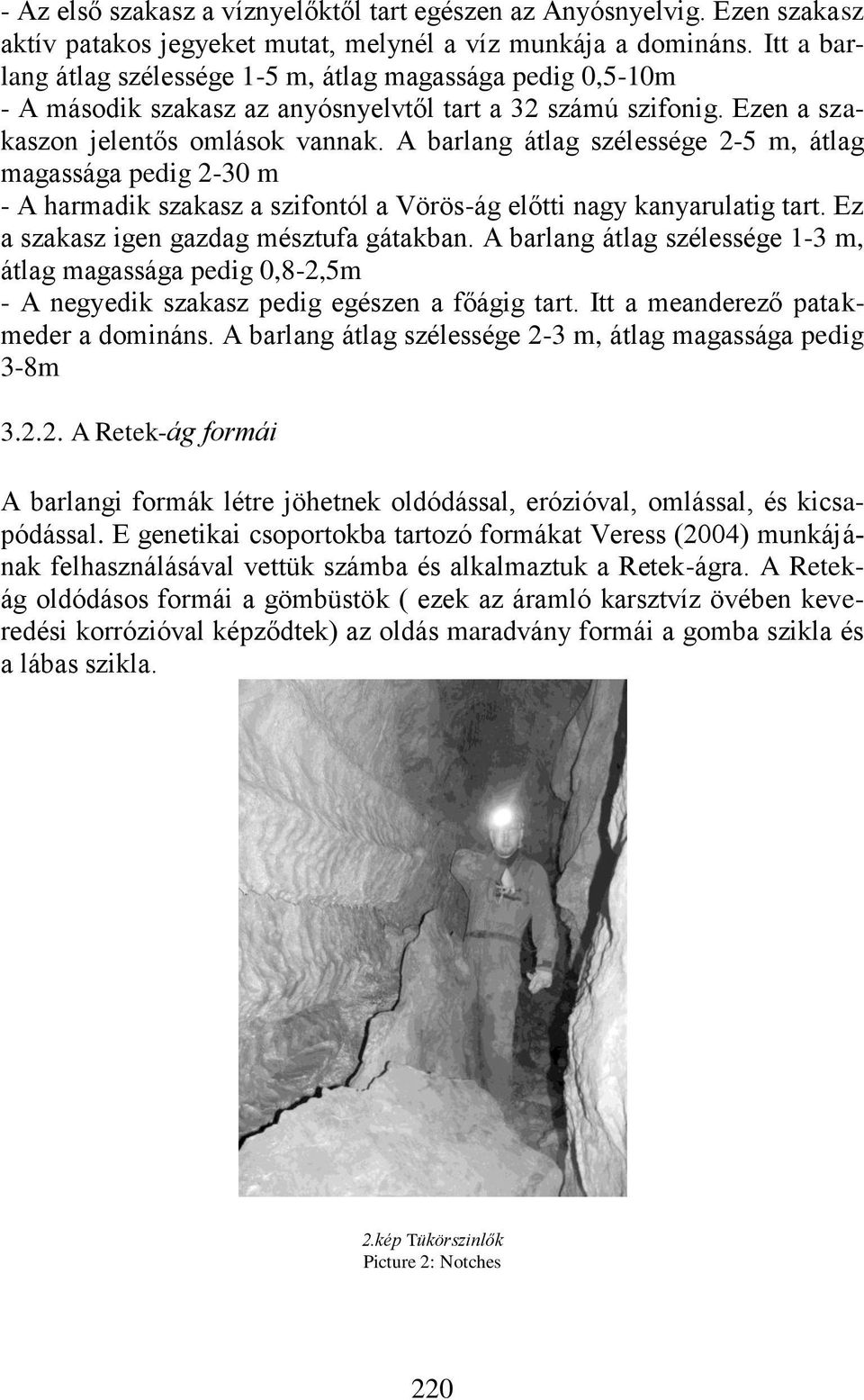 A barlang átlag szélessége 2-5 m, átlag magassága pedig 2-30 m - A harmadik szakasz a szifontól a Vörös-ág előtti nagy kanyarulatig tart. Ez a szakasz igen gazdag mésztufa gátakban.