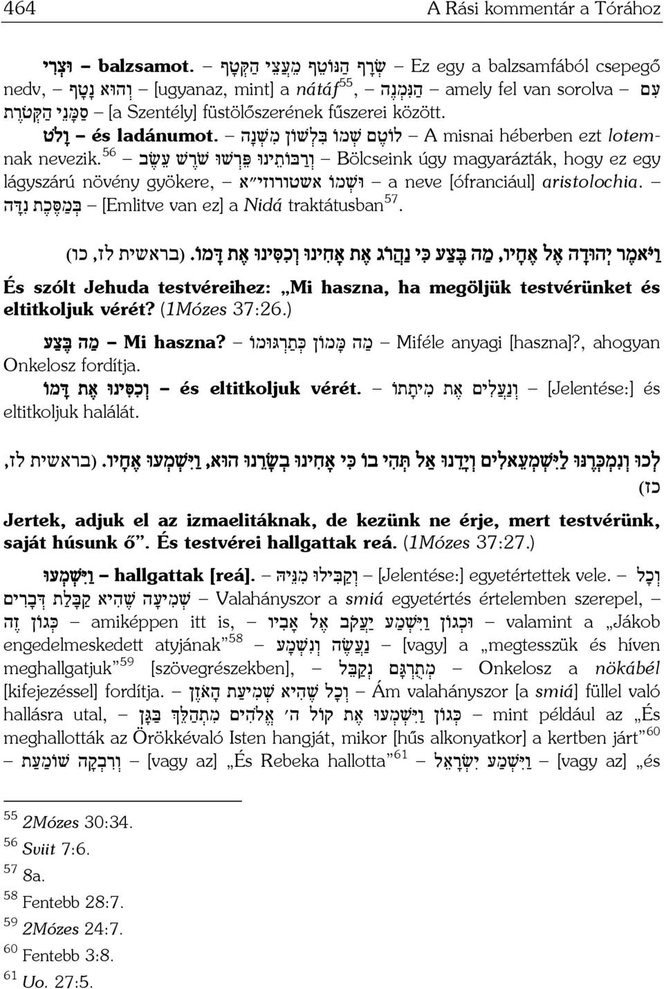 56 ו ר בּו ת ינוּ פּ ר שׁוּ שׁ ר שׁ ע שׂ ב Bölcseink úgy magyarázták, hogy ez egy lágyszárú növény gyökere, וּשׁ מו אשטורוזי "א a neve [ófranciául] aristolochia.