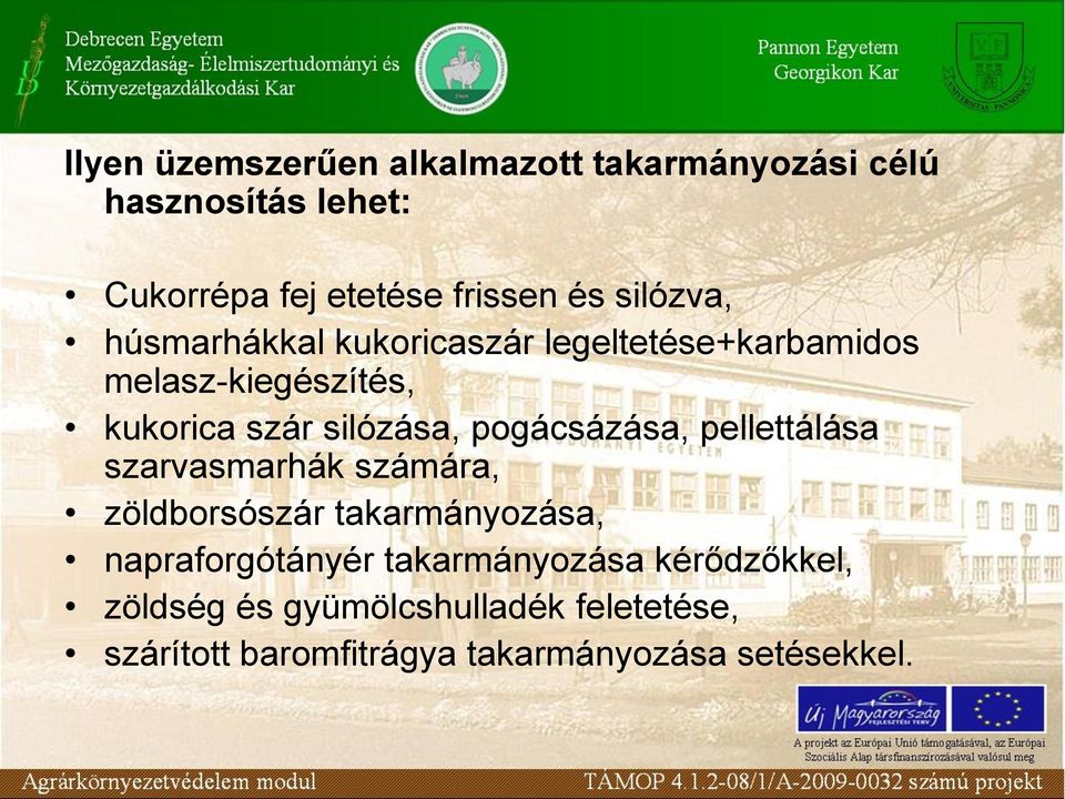 pogácsázása, pellettálása szarvasmarhák számára, zöldborsószár takarmányozása, napraforgótányér