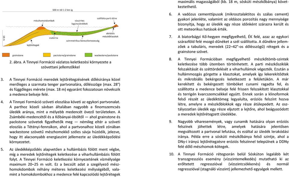 18 m) egyaránt fokozatosan növekszik a medence belseje felé. 4. A Tinnyei Formáció szöveti eloszlása követi az egykori partvonalat.