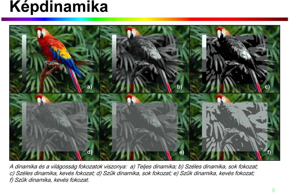 fokozat; c) Széles dinamika, kevés fokozat; d) Szűk dinamika, sok