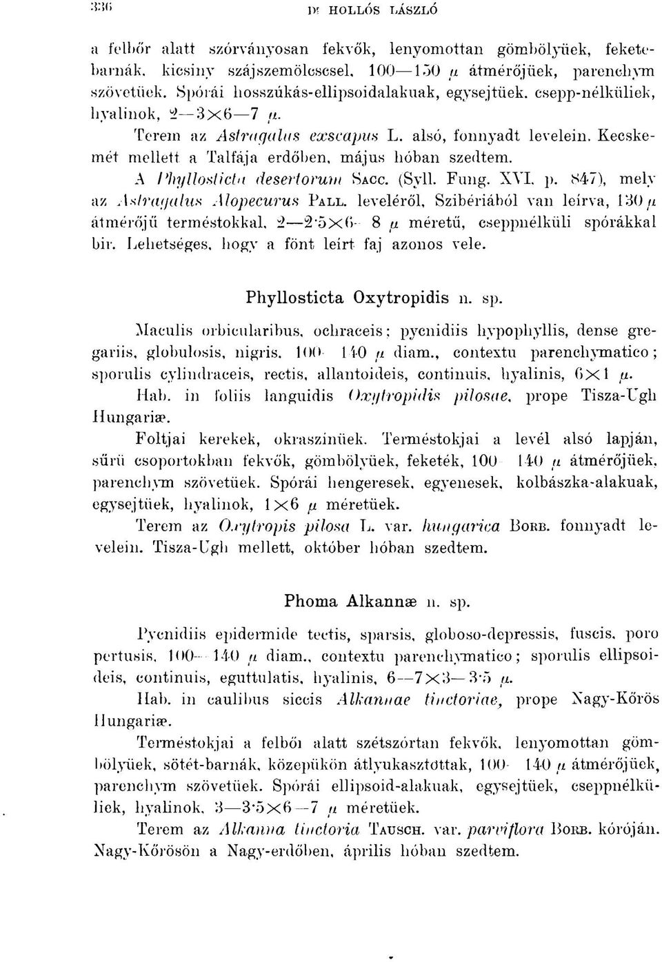 A Phylloslicta desertorurn SACC. (Syll. Fung. XVI. p. 847), mely az Astragalus Alopecurus PALL. leveléről, Szibériából van leírva, 130 u átmérőjű terméstokkal, 2 2-5x6 8 p.