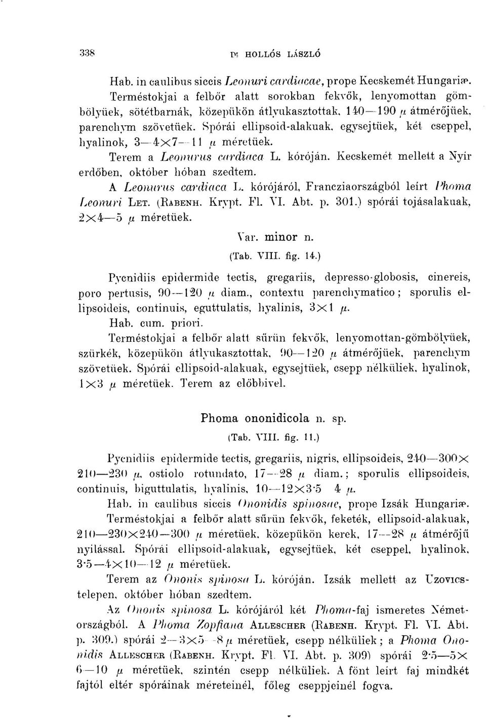 Kecskemét mellett a Nyír erdőben, október hóban szedtem. A Leonurus ccirdiaca L. kórójáról, Francziaországból leírt Phoma Leoauri LET. (RABENH. Krypt. Fl. VI. Abt. p. 301.