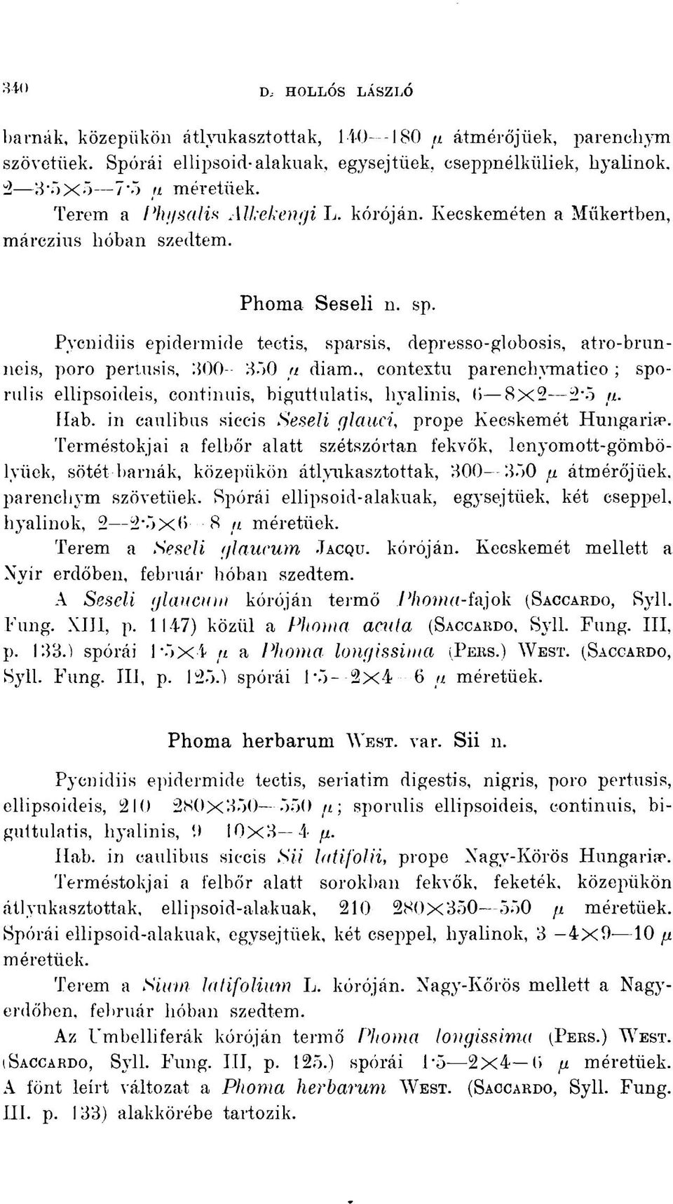 Pycnidiis epidermide tectis, sparsis, depresso-globosis, atro-brunneis, poro periusis, 300 350 u diam.. contextu parenchymatieo ; sporulis ellipsoideis, continuis, biguttulatis, liyalinis, 6 8x2 2*5 u.