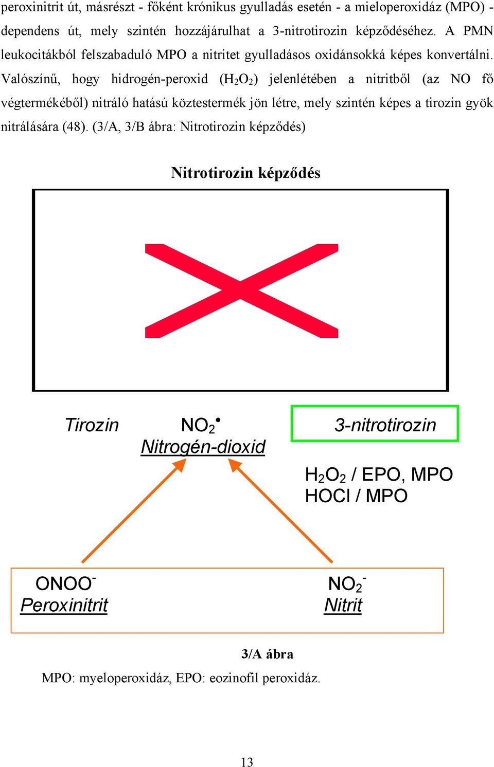 Valószínű, hogy hidrogén-peroxid (H 2 O 2 ) jelenlétében a nitritből (az NO fő végtermékéből) nitráló hatású köztestermék jön létre, mely szintén képes a tirozin