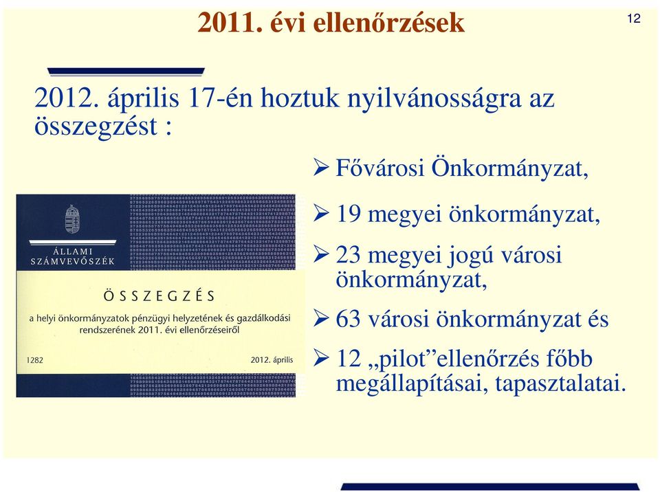 Önkormányzat, 19 megyei önkormányzat, 23 megyei jogú városi