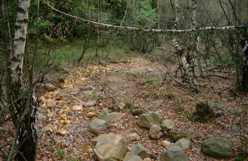 Diffúz szennyezőforrások Szétszóródott meddőanyag Toka-patak által szállított szulfidos meddőkőzet