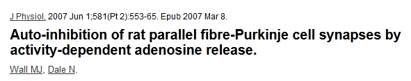 expresszál valamennyit ezekből Adenozin P1 receptorok ATP: widespread gliotransmitter!