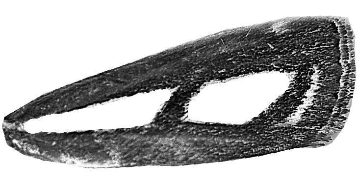 colchicella (Lederer, 1870); C. dimorphella (Staudinger, 1881); C. pinella (Linnaeus, 1758). Bionómia: Az imágókat június közepétől szeptember közepéig gyűjtötték.