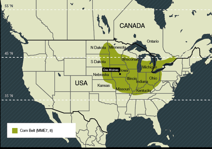 Az USA mezőgazdasága Az USA Terület: 9,83 M km2 2,2 M gazdaság (169 ha/farm) Kukorica övezet Mezőgazd.