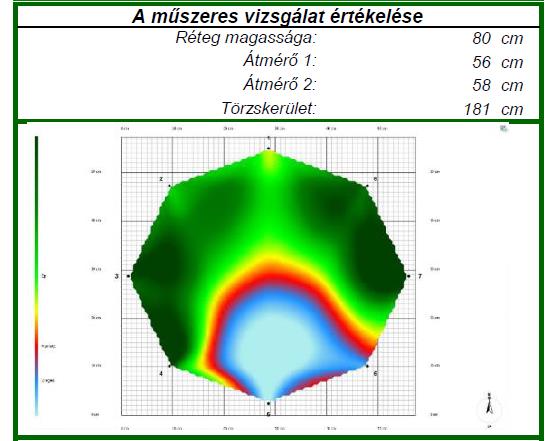 ÉPÍTÉSI HELYEK E FAFELMÉRÉS ÉS MINDEN FA EGYEDI ELBÍRÁLÁS ALÁ ESIK